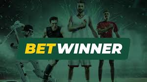 BetWinner Bookmaker A Comprehensive Guide