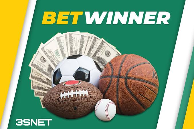 APK for BetWinner Your Ultimate Betting Companion